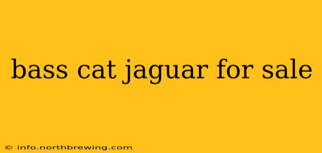 bass cat jaguar for sale