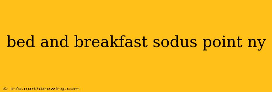 bed and breakfast sodus point ny