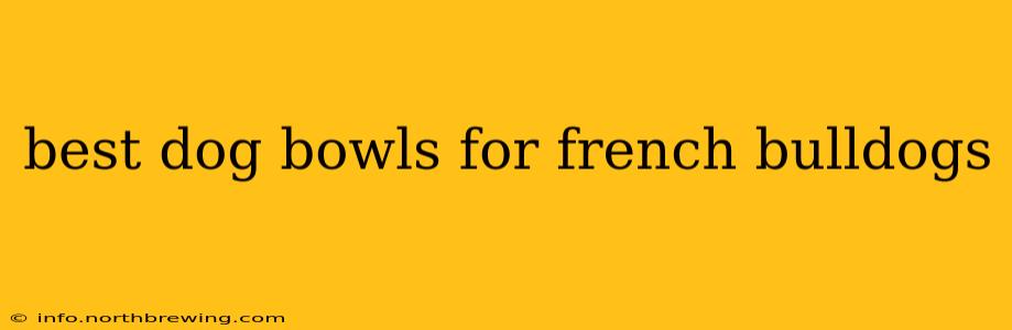 best dog bowls for french bulldogs