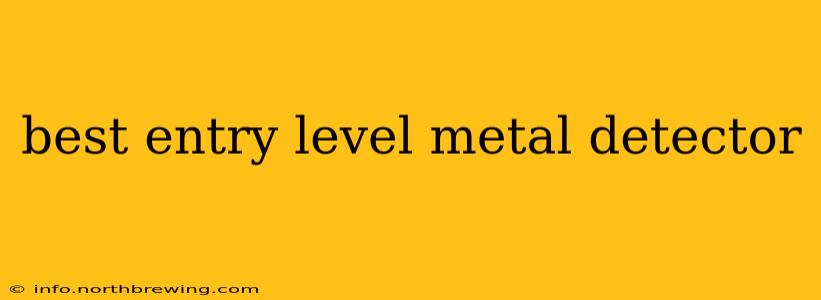 best entry level metal detector