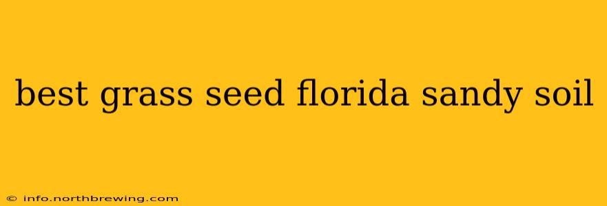 best grass seed florida sandy soil