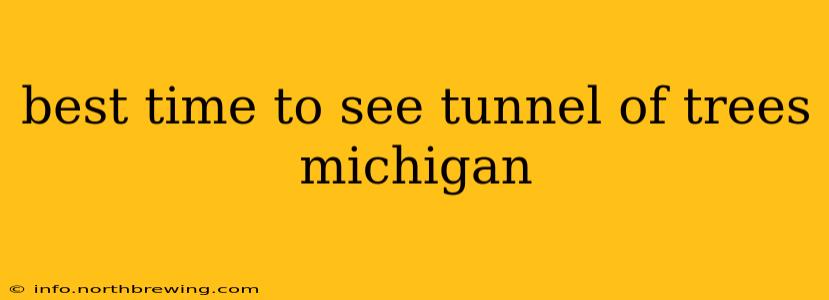 best time to see tunnel of trees michigan