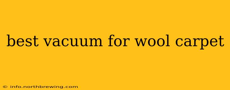 best vacuum for wool carpet