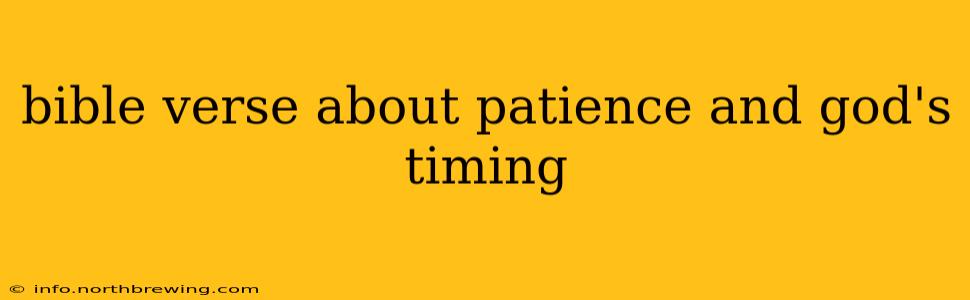 bible verse about patience and god's timing