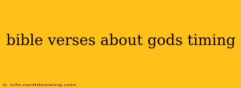 bible verses about gods timing