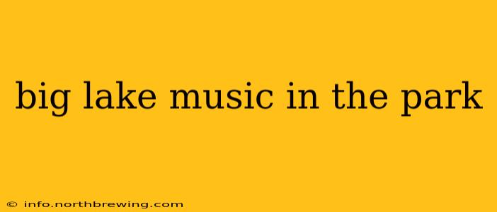 big lake music in the park