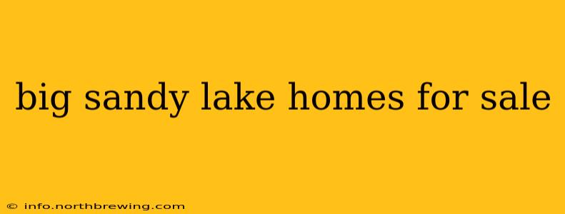 big sandy lake homes for sale