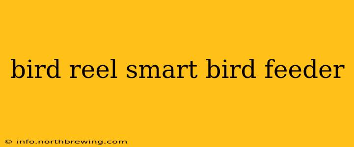bird reel smart bird feeder