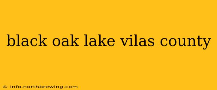 black oak lake vilas county