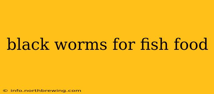 black worms for fish food
