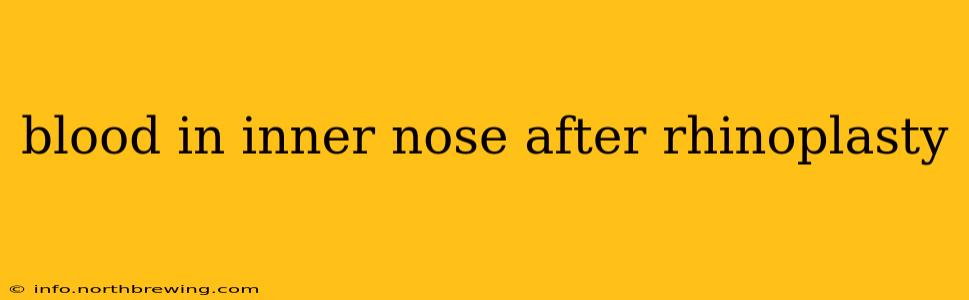 blood in inner nose after rhinoplasty