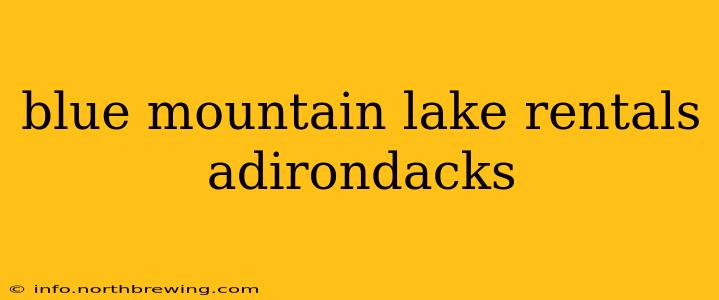 blue mountain lake rentals adirondacks