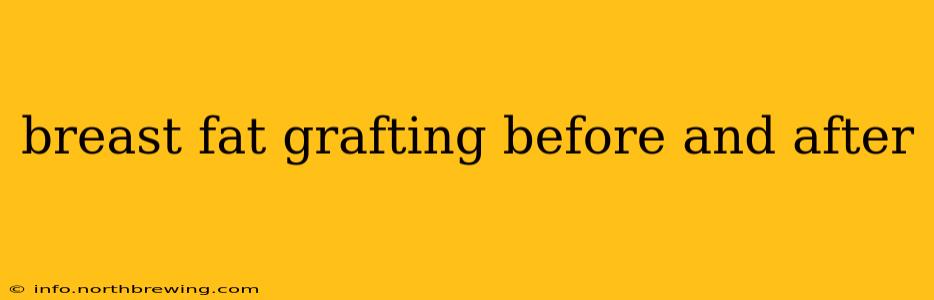 breast fat grafting before and after