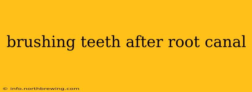 brushing teeth after root canal
