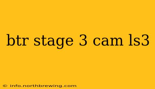 btr stage 3 cam ls3