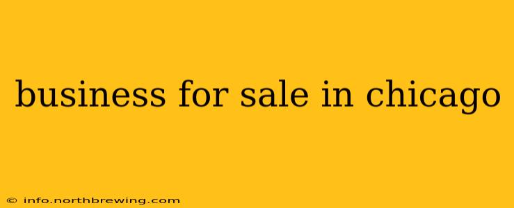 business for sale in chicago