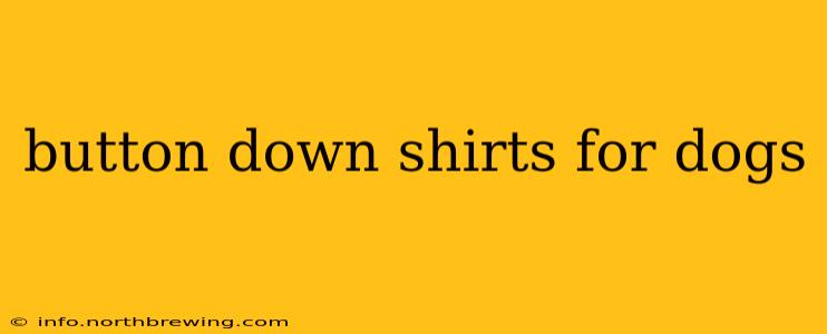 button down shirts for dogs