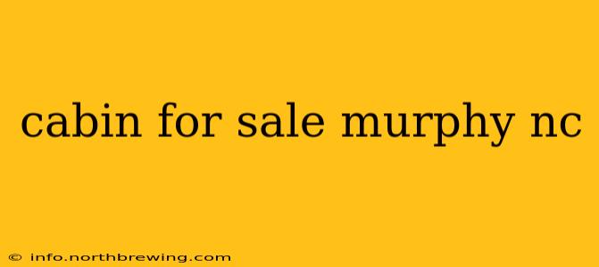 cabin for sale murphy nc