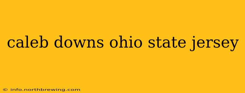 caleb downs ohio state jersey