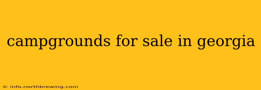 campgrounds for sale in georgia