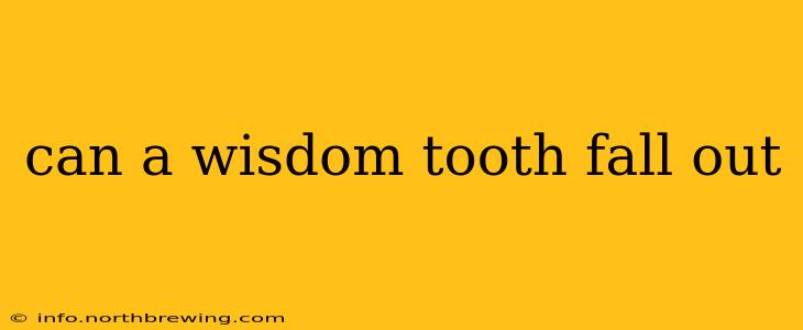 can a wisdom tooth fall out
