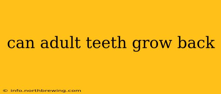 can adult teeth grow back