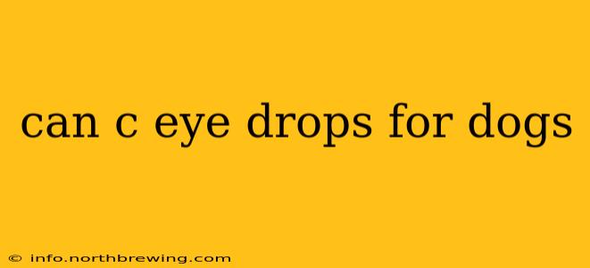 can c eye drops for dogs