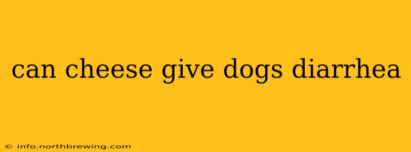 can cheese give dogs diarrhea