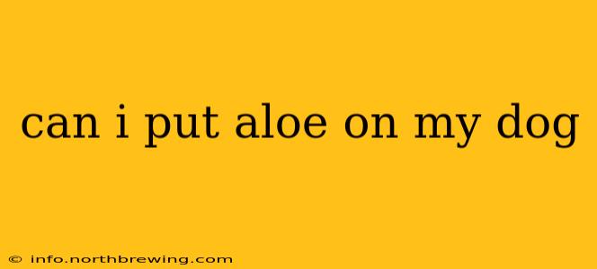 can i put aloe on my dog
