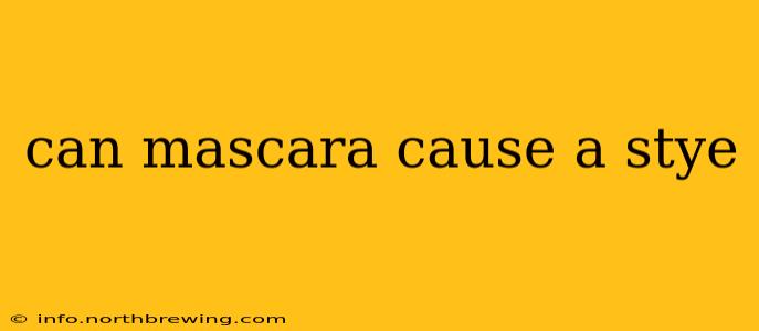 can mascara cause a stye