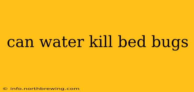 can water kill bed bugs