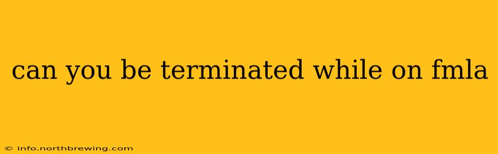 can you be terminated while on fmla