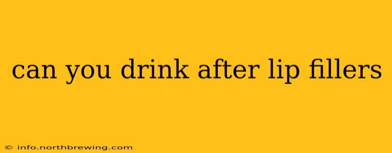 can you drink after lip fillers