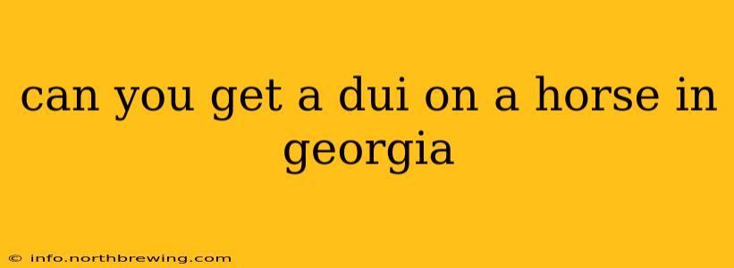 can you get a dui on a horse in georgia