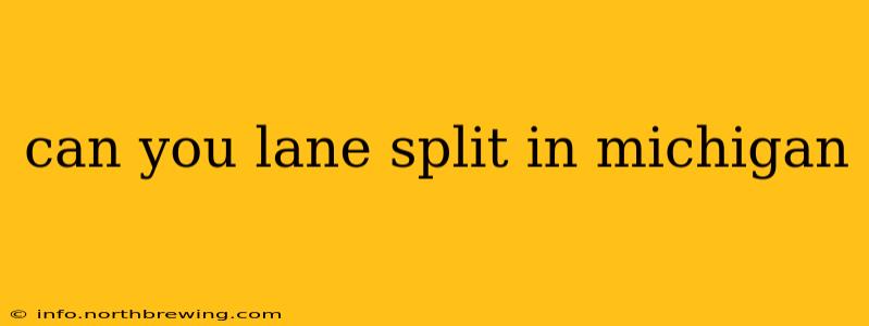 can you lane split in michigan