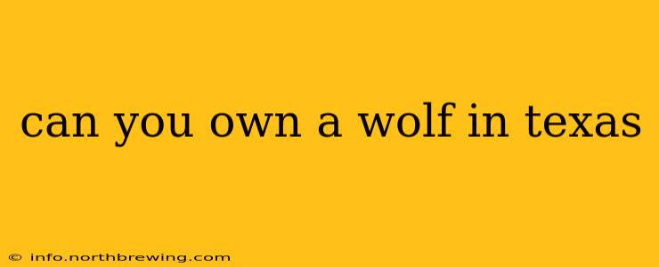 can you own a wolf in texas