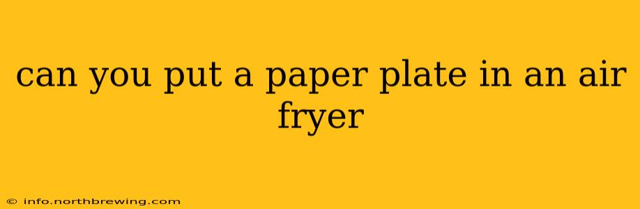 can you put a paper plate in an air fryer