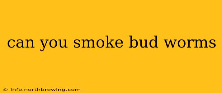can you smoke bud worms