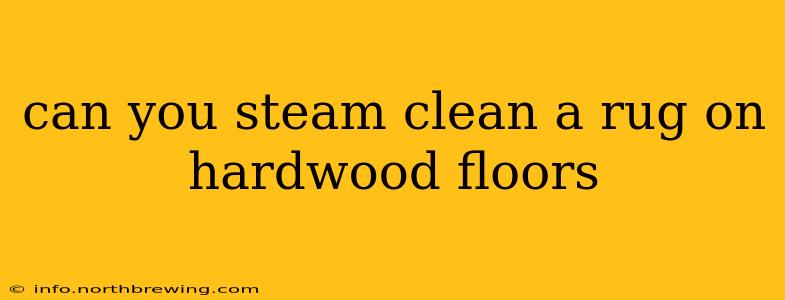 can you steam clean a rug on hardwood floors