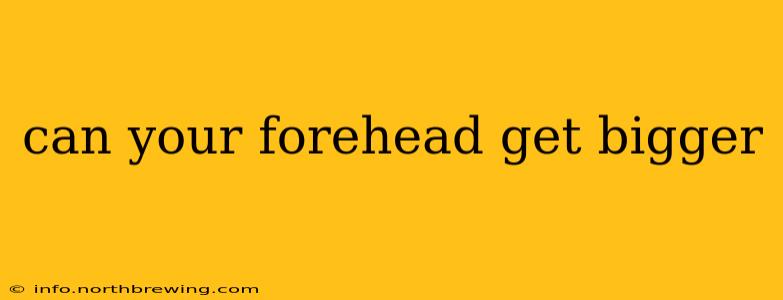 can your forehead get bigger