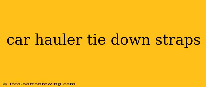 car hauler tie down straps