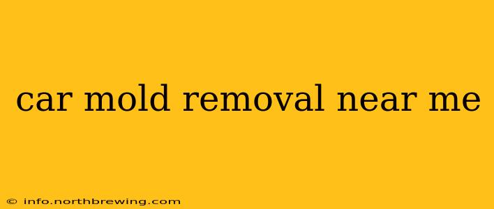 car mold removal near me