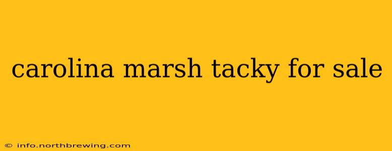carolina marsh tacky for sale