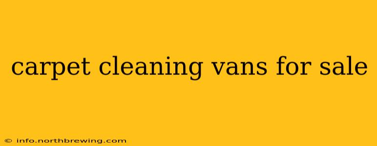carpet cleaning vans for sale