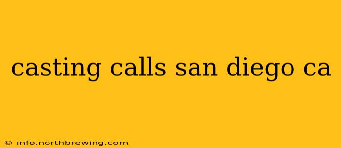 casting calls san diego ca