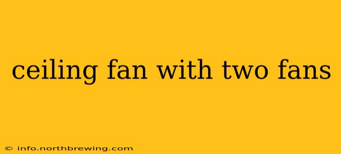 ceiling fan with two fans