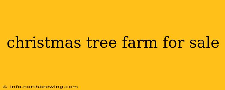 christmas tree farm for sale