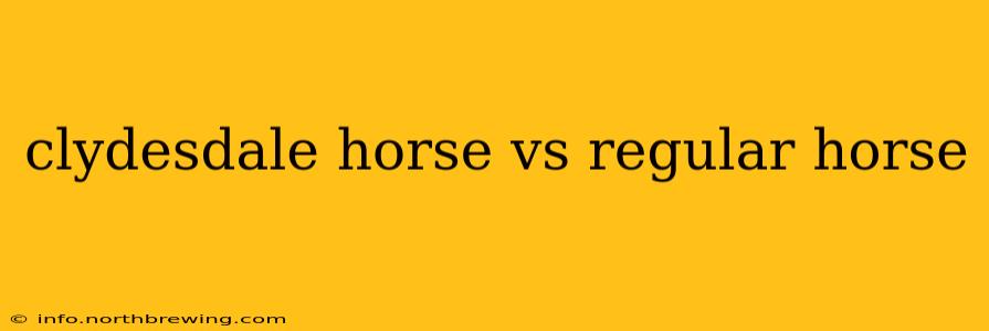 clydesdale horse vs regular horse