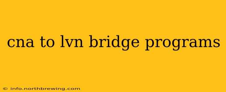 cna to lvn bridge programs