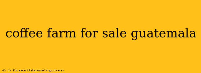 coffee farm for sale guatemala